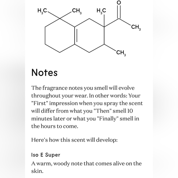 Commodity Paper+ *NWT* - Picture 7 of 12